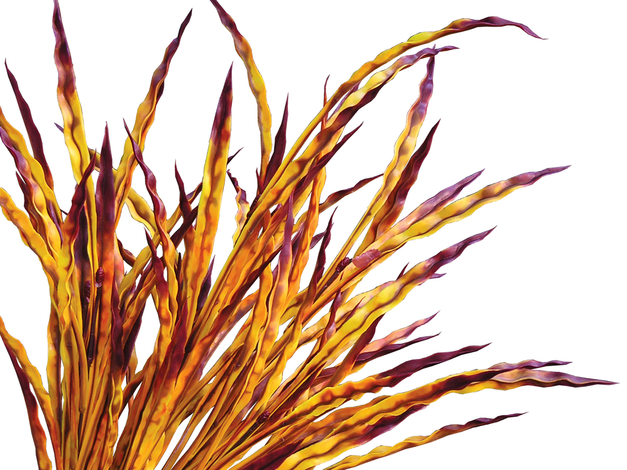Ribbon Grass Fall Hanging Basket ID# GRB214BF+