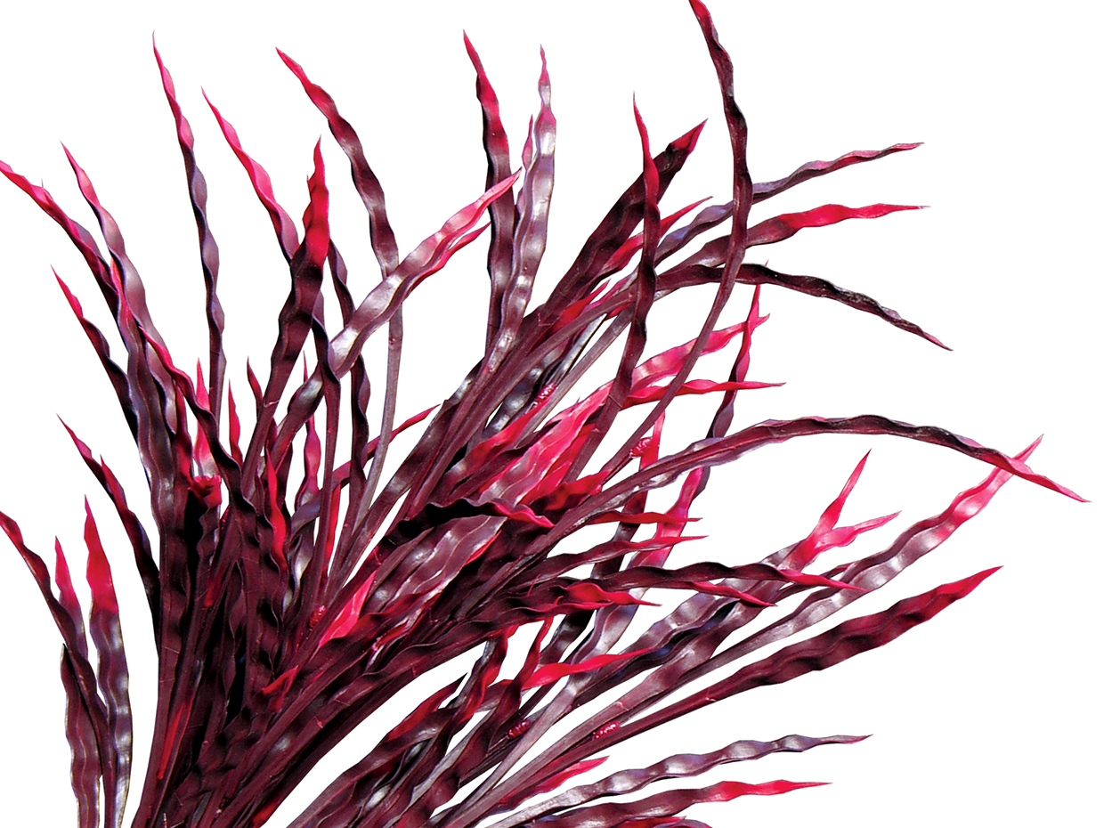 Ribbon Grass Fall Hanging Basket ID# GRB214BF+