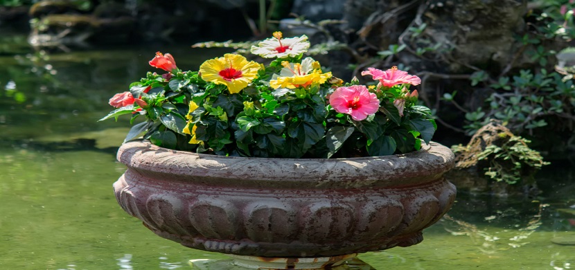 10 Artificial Indoor Plants That Look WOW on Office Desks