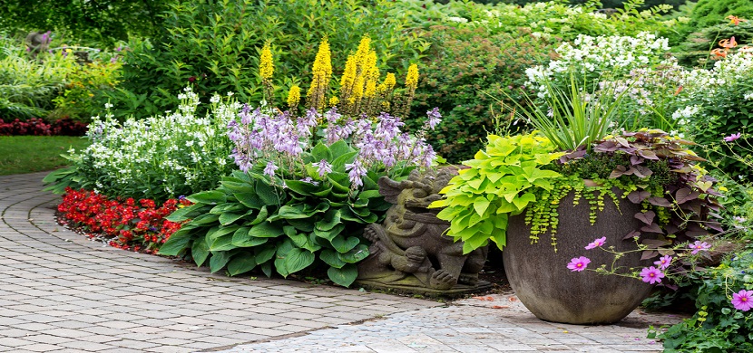 How To Remove Invasive Plants With Ease?