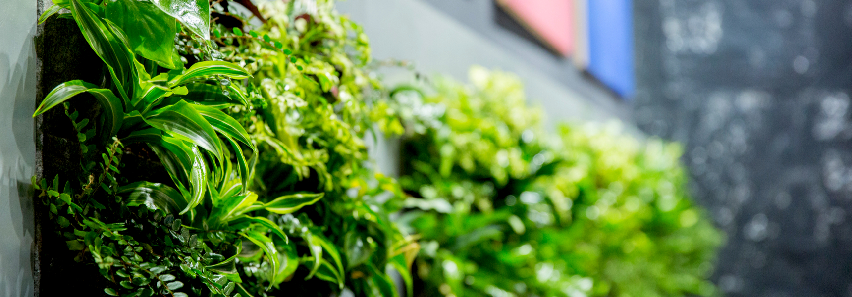 How To Select The Right Artificial Grass