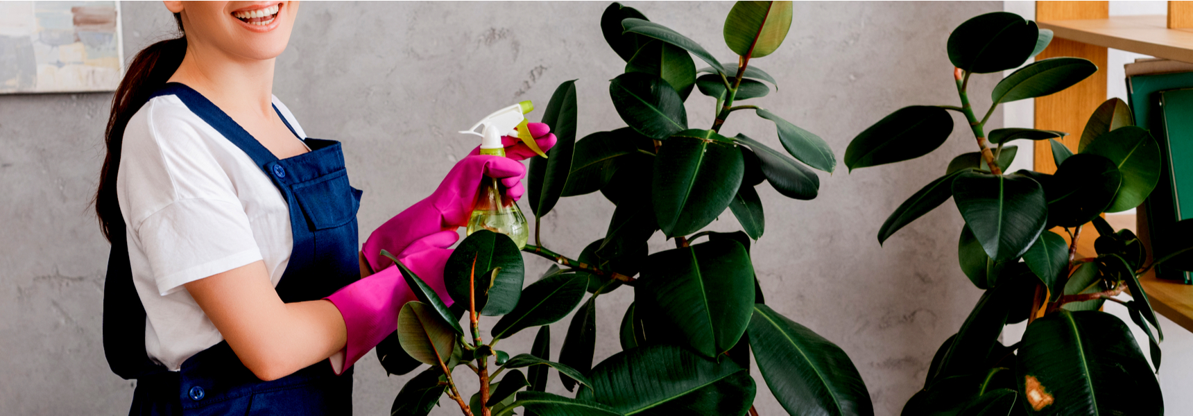 How to Clean Complex Faux Plants