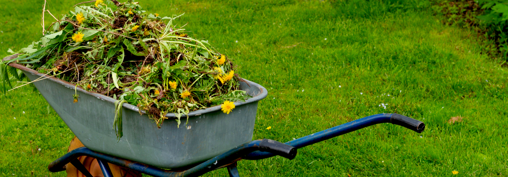 How to reduce commercial garden waste