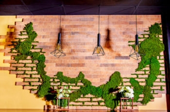 How to use Preserved Moss for Branding and Signage