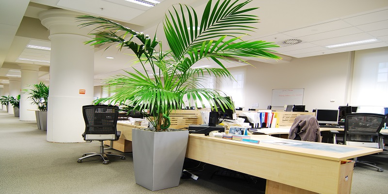 How to Design a Modern Cool Office Space on a Budget