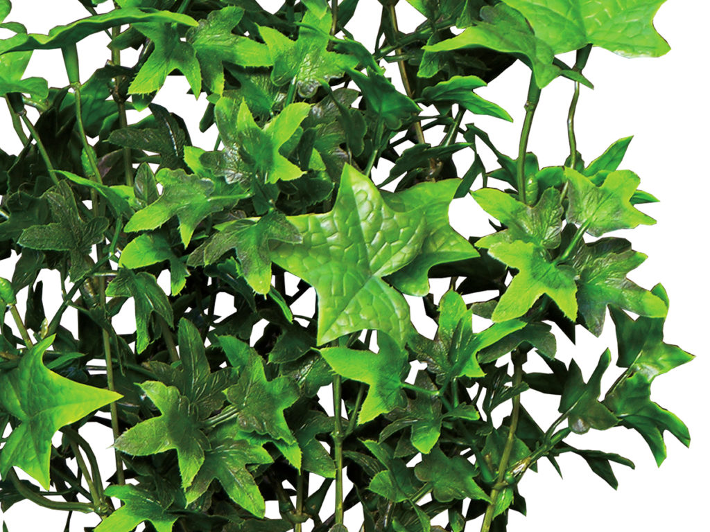 English Ivy 3 Topiary Balls ID# IVE3B96+