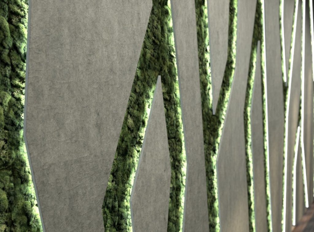Preserved Moss walls