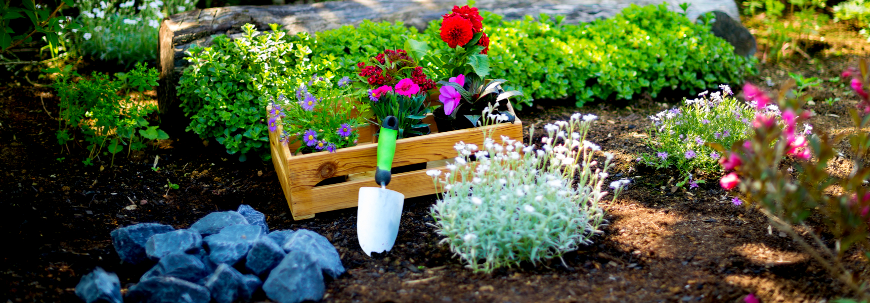 Landscaping Trends to Embrace this Summer