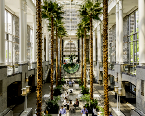 Large Artificial Palm trees