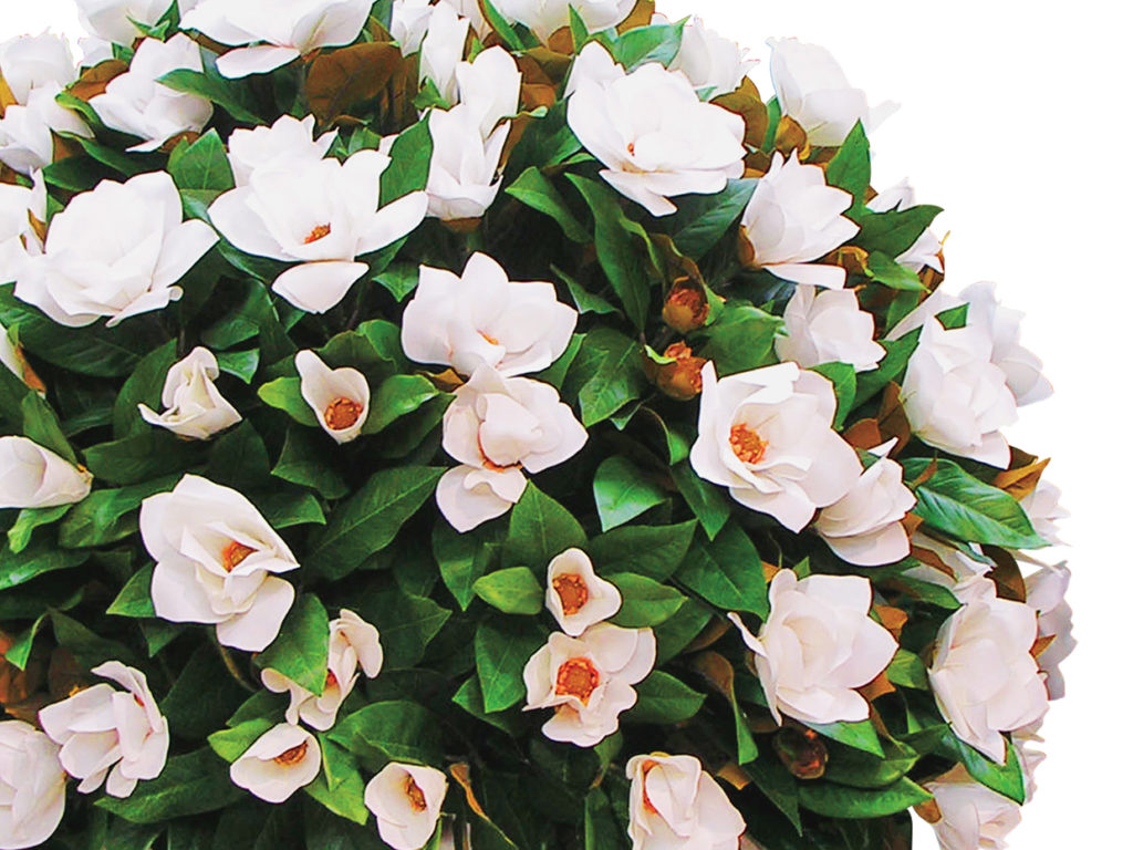 Magnolia Topiary Tree ID# 3328