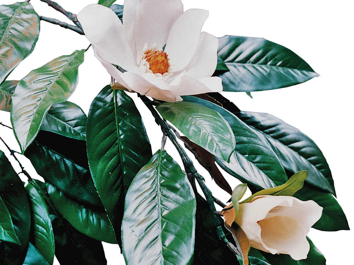 Magnolia Tree Artificial Indoor Tree Commercial Silk