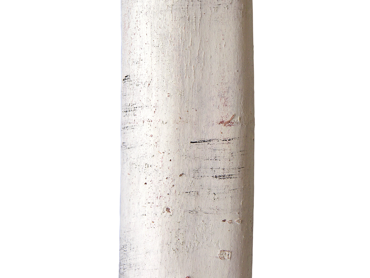 Aspen Grove ID# ASP1X0