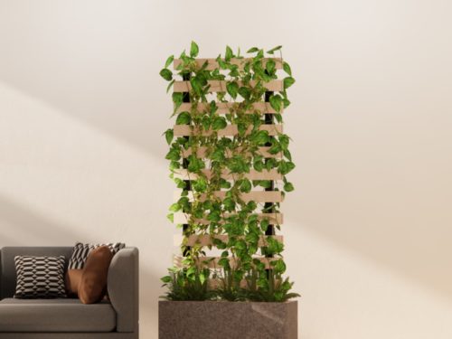 BIO-MTP-001