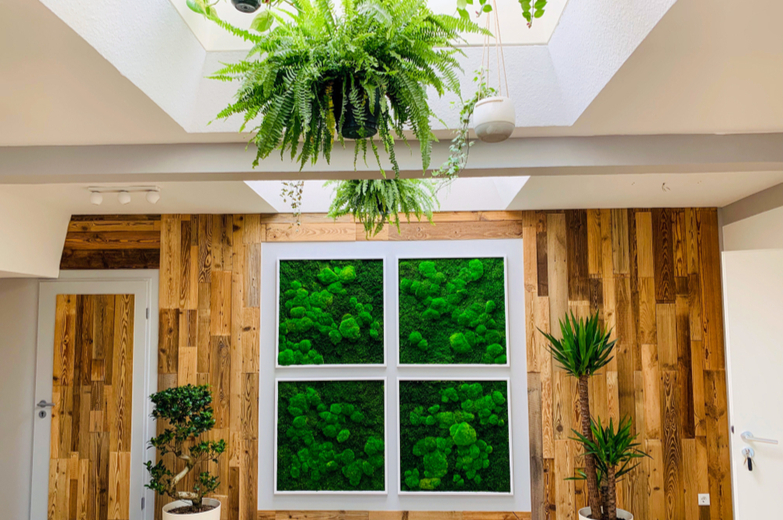 Moss Is the Surprising Plant Taking Over Home Decor