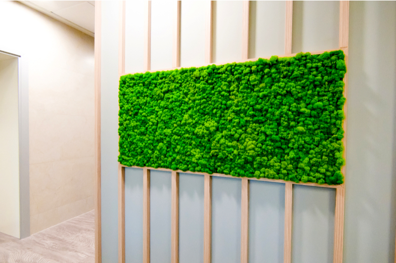 Moss Walls Bring The Outside In