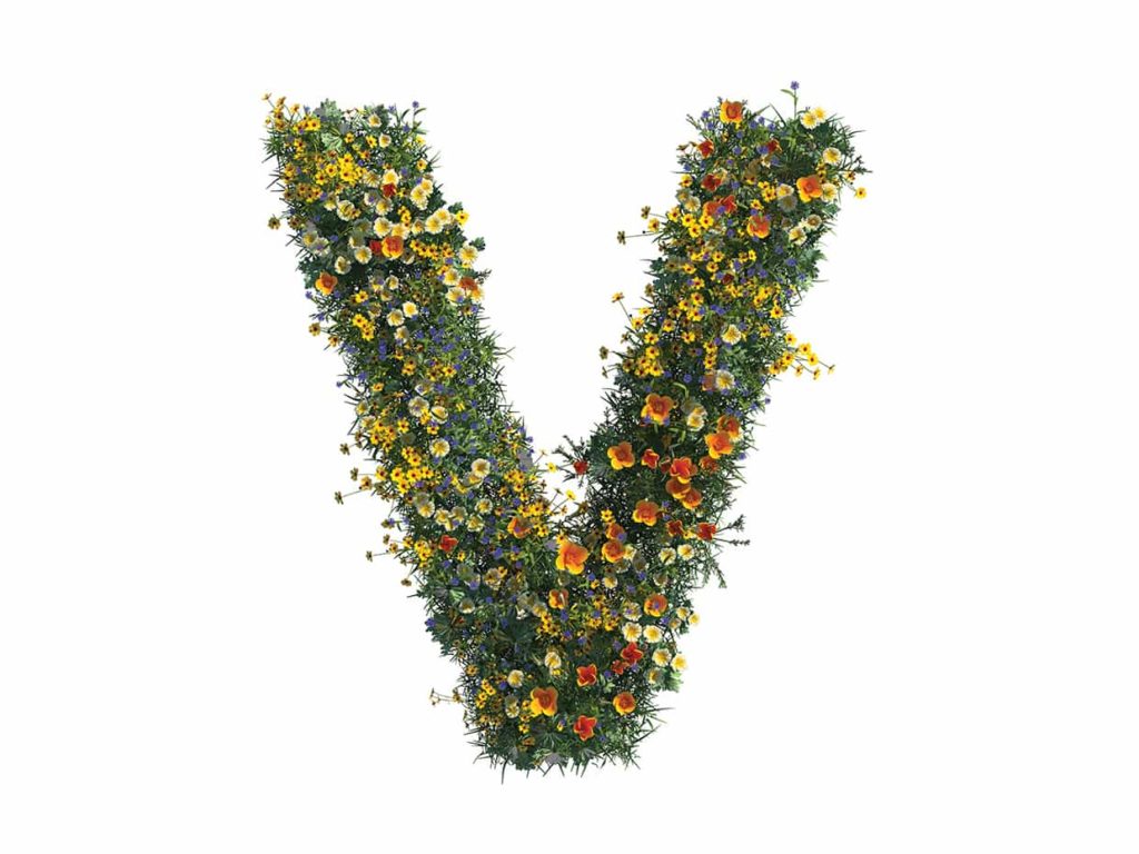 Artificial Moss Letters