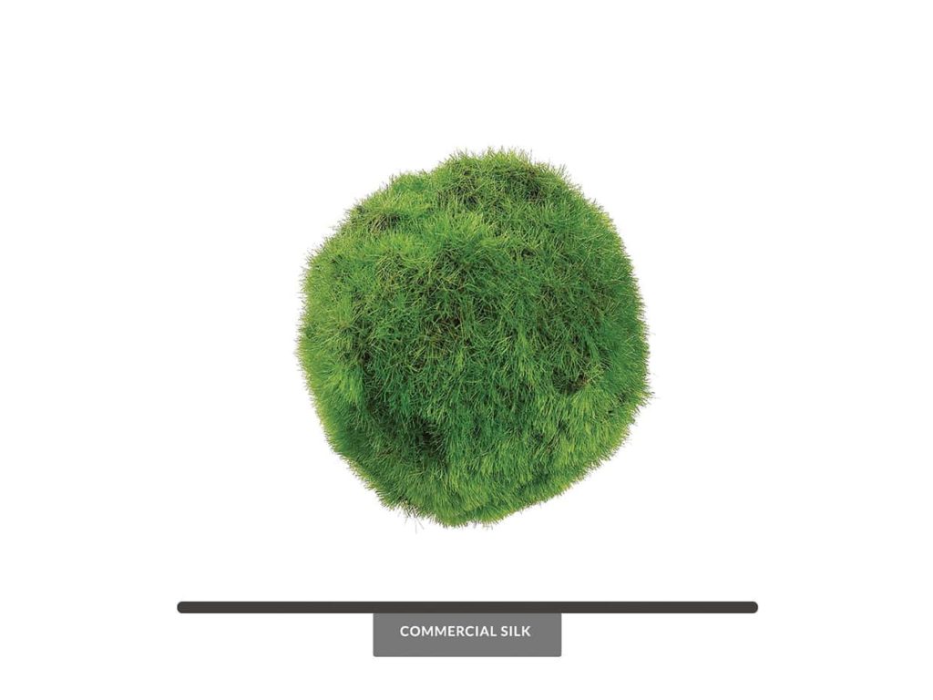 Green Decorative Moss Balls 3In