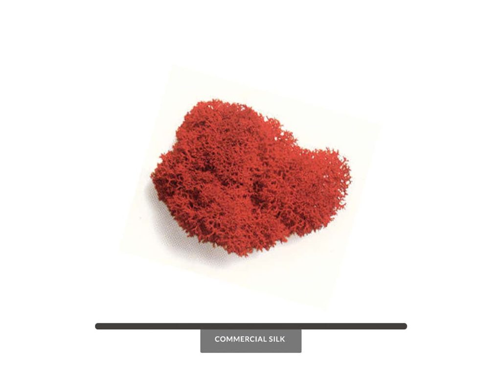 Preserved Reindeer Moss