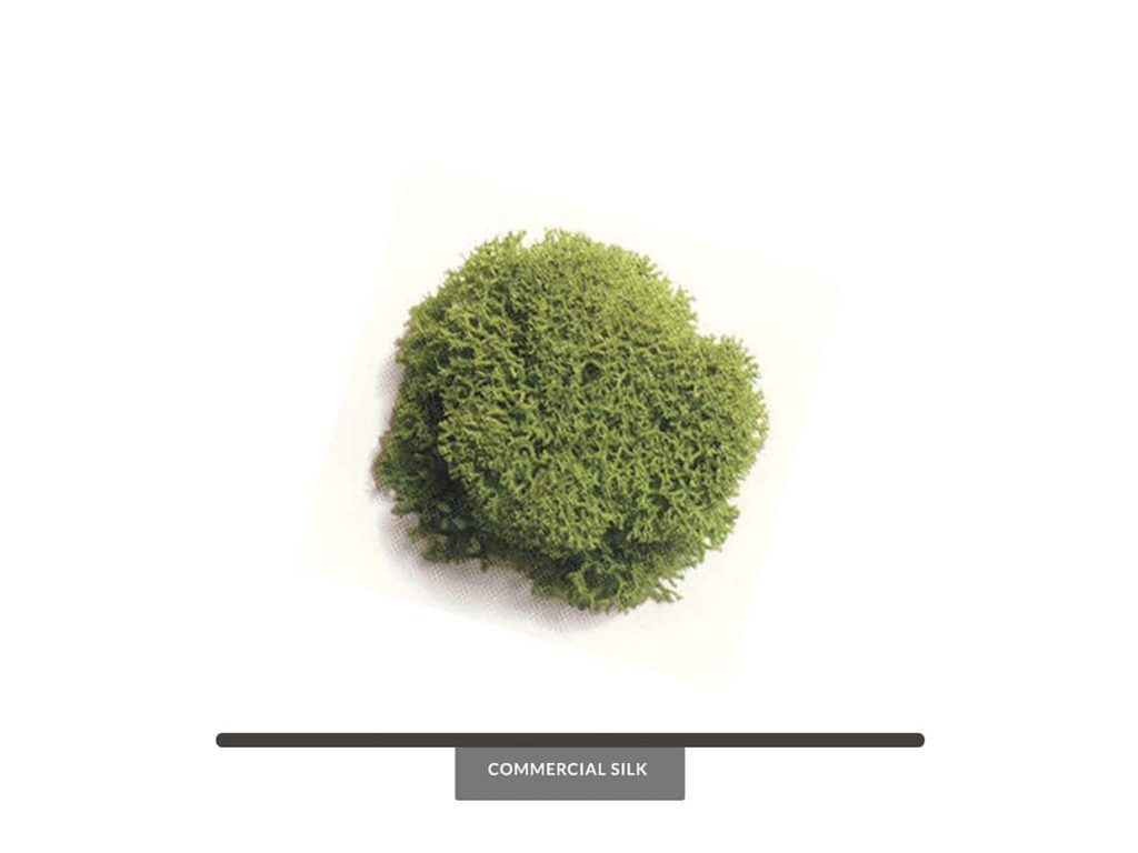 Color Moss, Bright