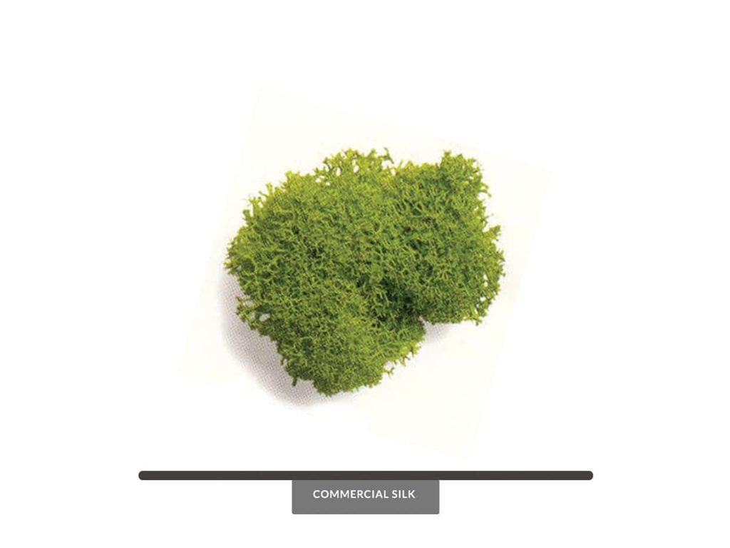 Vibrant Spring Color Preserved Reindeer Moss