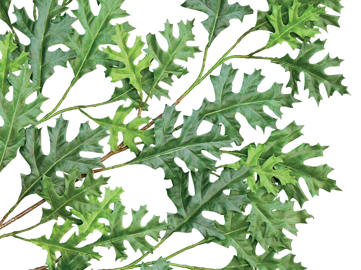 Oak Tree, Sculpted ID# OKRFX4