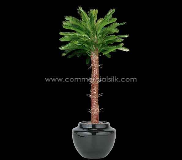 PalmKingSago PSK172 L 2