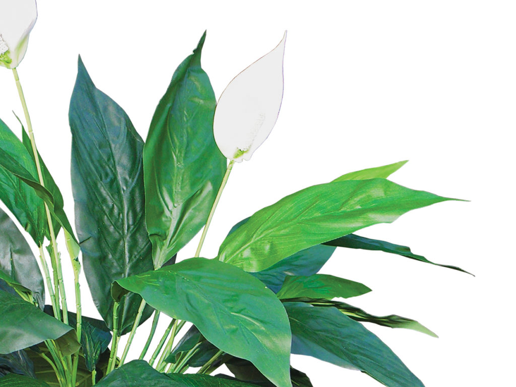 Peace Lily Plant - Fake Floor Plants ID# PLS212, PLL328