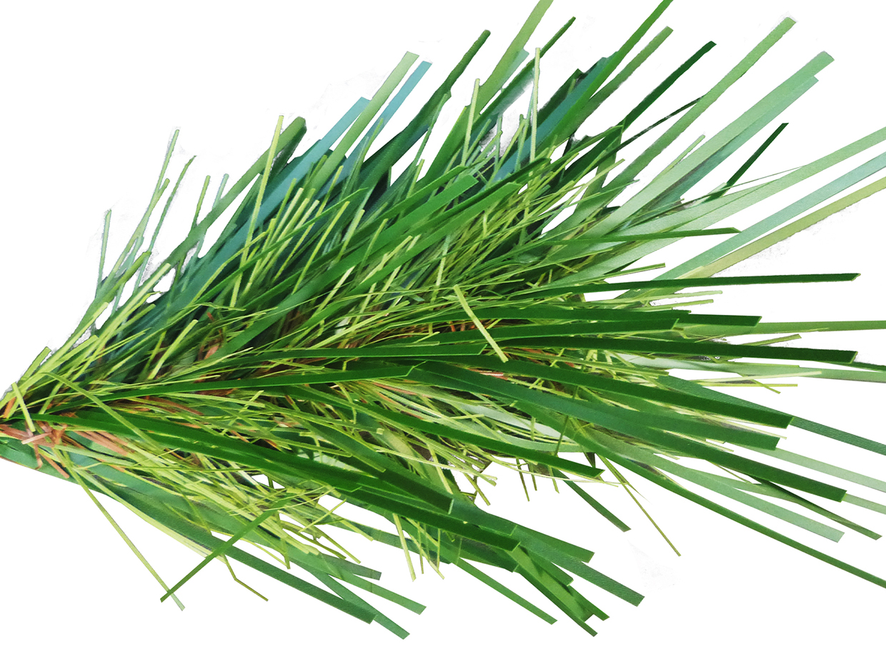 Cell Tower Pine Spray ID# PCT+12