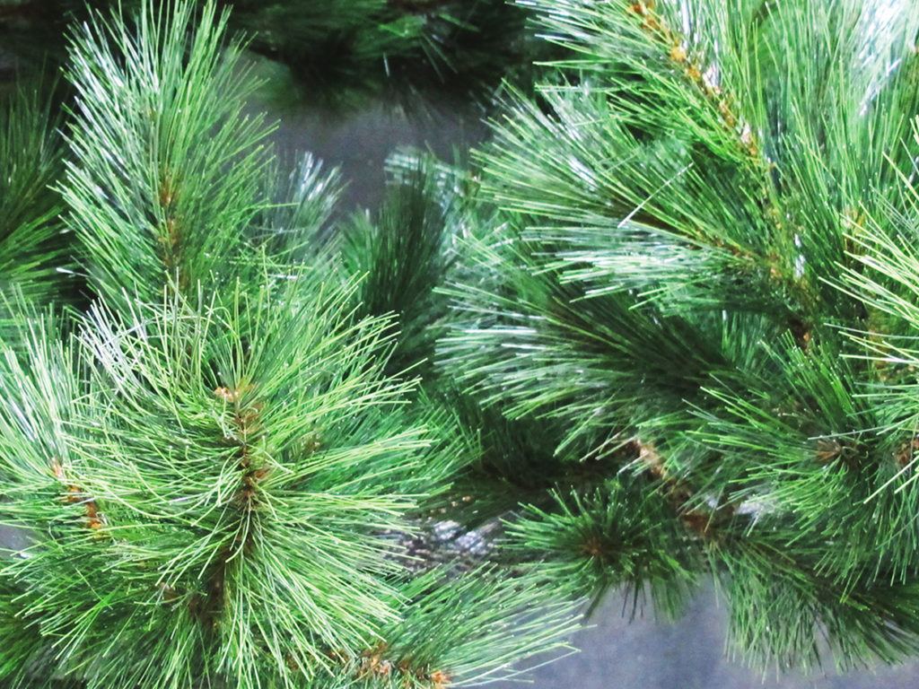 Artificial Long Needle Pine Plant Faux Bushes Commercial Silk
