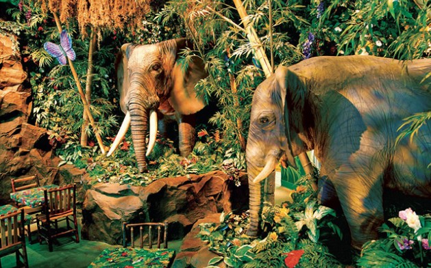 transportive natural experiences
