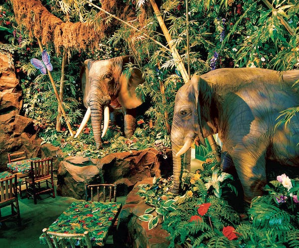 Rainforest Cafe
