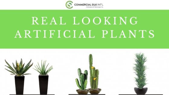 Real Looking Artificial Plants