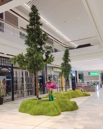 Scotch_Pine_Tree