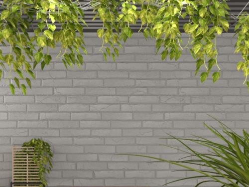 BIO-SCL-001 | Screen Leaf