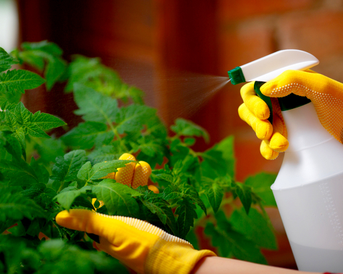 Spray washing for settles dust