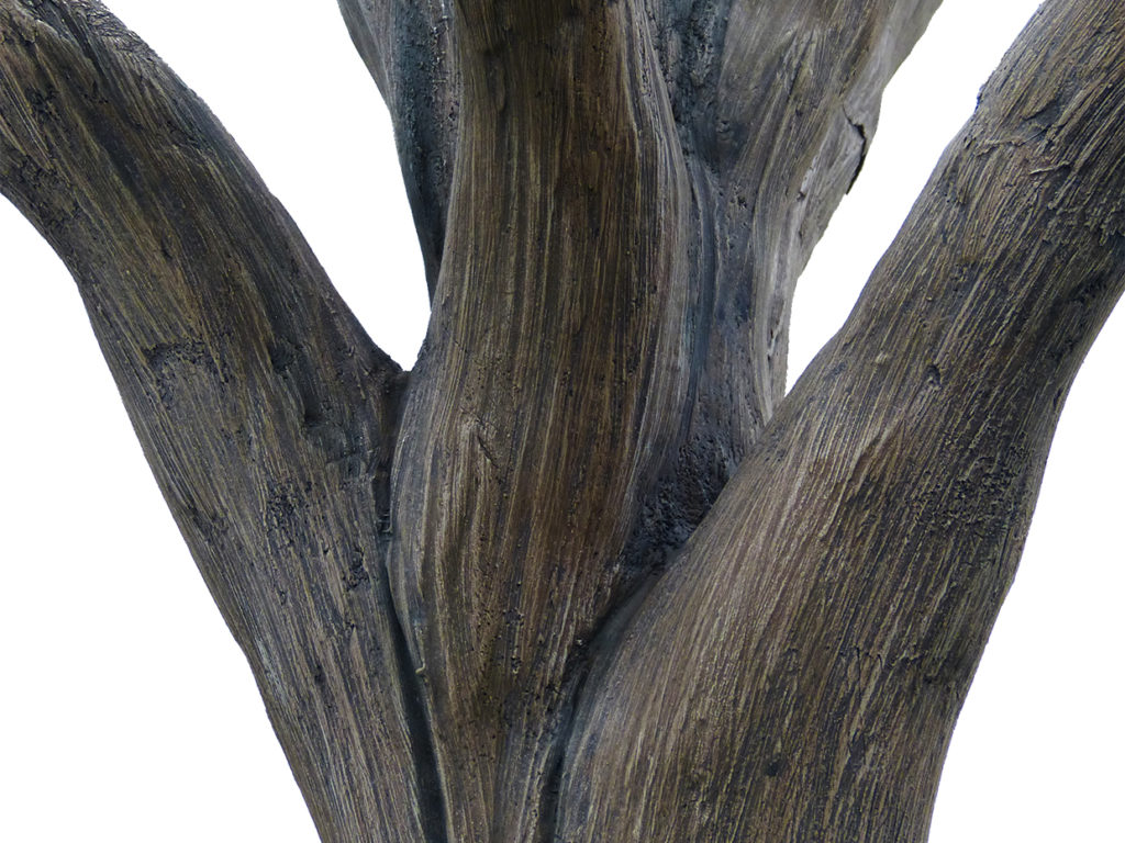 Swampwood Tree, Leafless ID# 12108