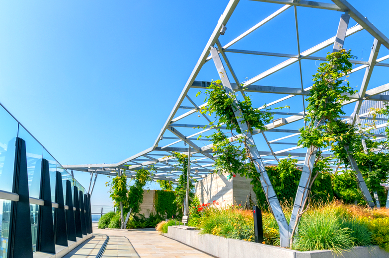 The Modern Rise of Urban Rooftop Gardens