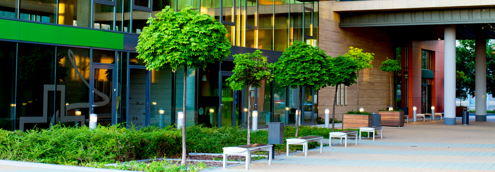 The Ultimate Buyers Guide_ Outdoor Artificial Trees