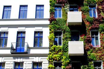 Vertical Gardens