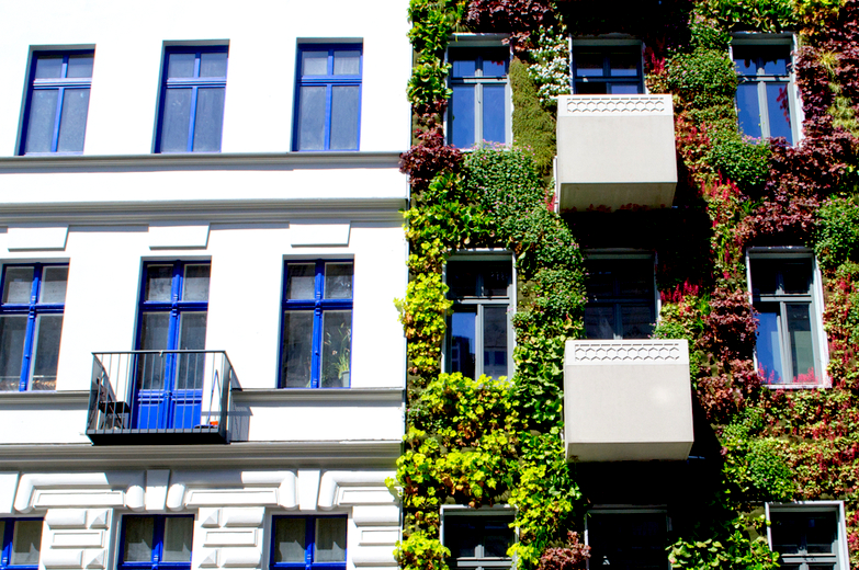 Vertical Gardens