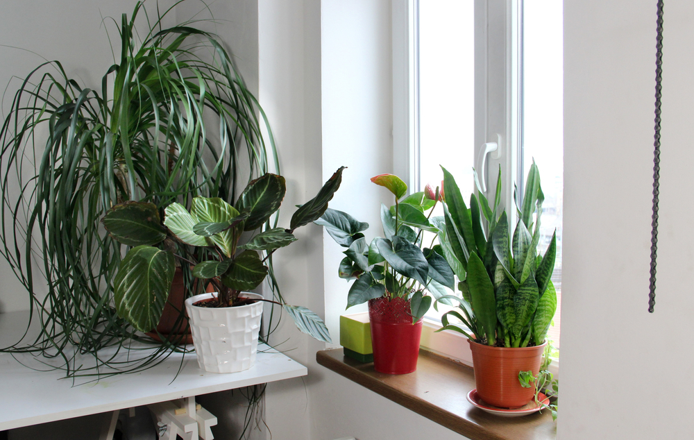 Ways to Make Artificial Plants and Trees Look More Real