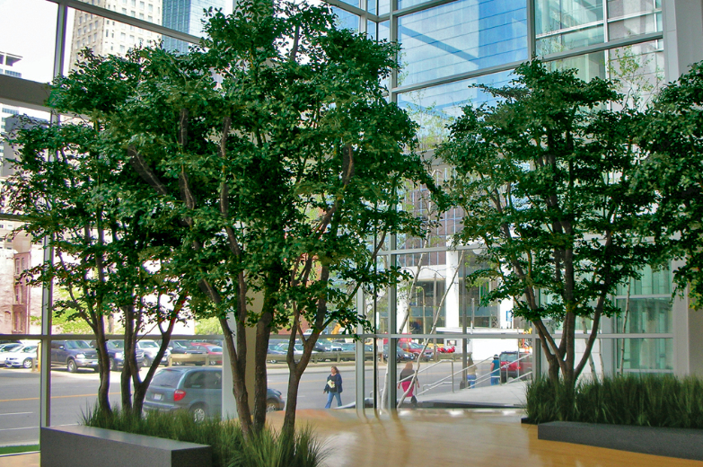 What is the Future of Office Spaces
