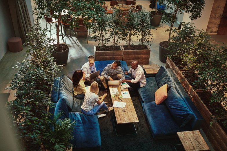 Why Incorporate Biophilia into Collaboration Areas