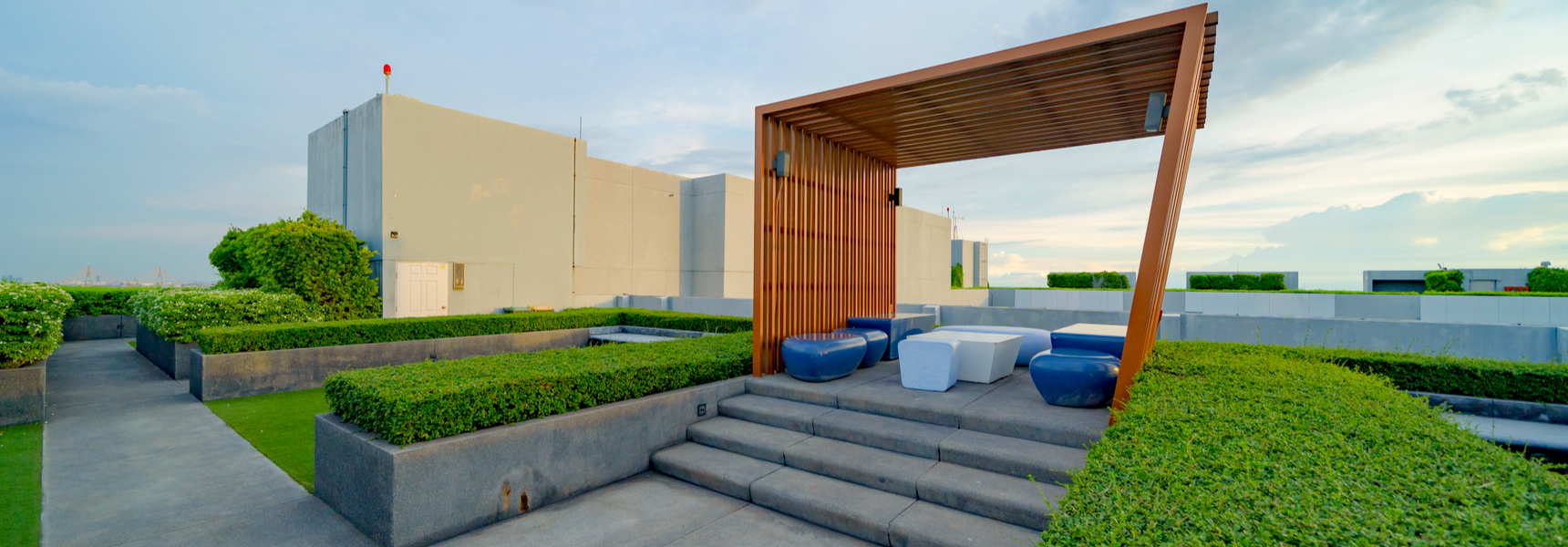 Why use hedges for landscaping rooftops