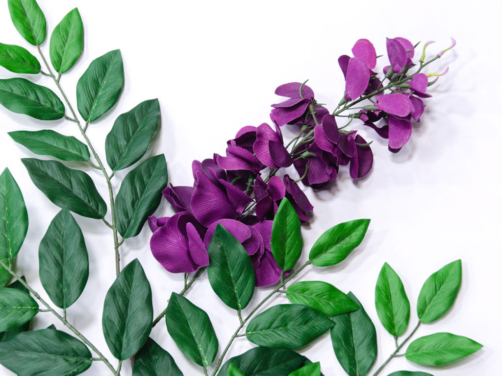Wisteria Tree ID# WISE48F, WISE72L