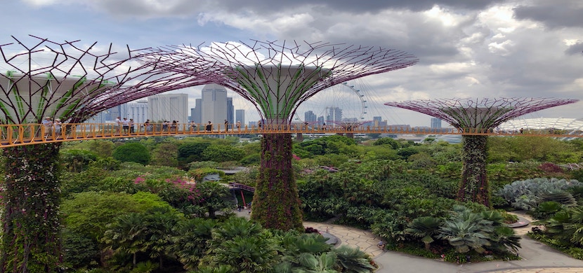 Your Complete Guide to Buying Outdoor Artificial Plants and trees
