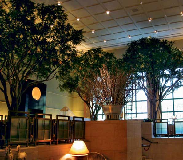 Hotel Project 2