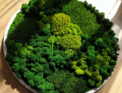 Indoor Artificial Moss - Fake Moss for Inside