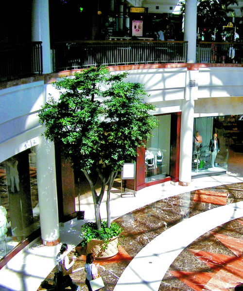 artificial black olive trees