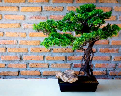 artificial bonsai tree
